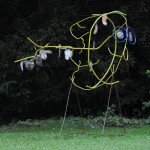 Vis Stedelijk Museum Zwolle